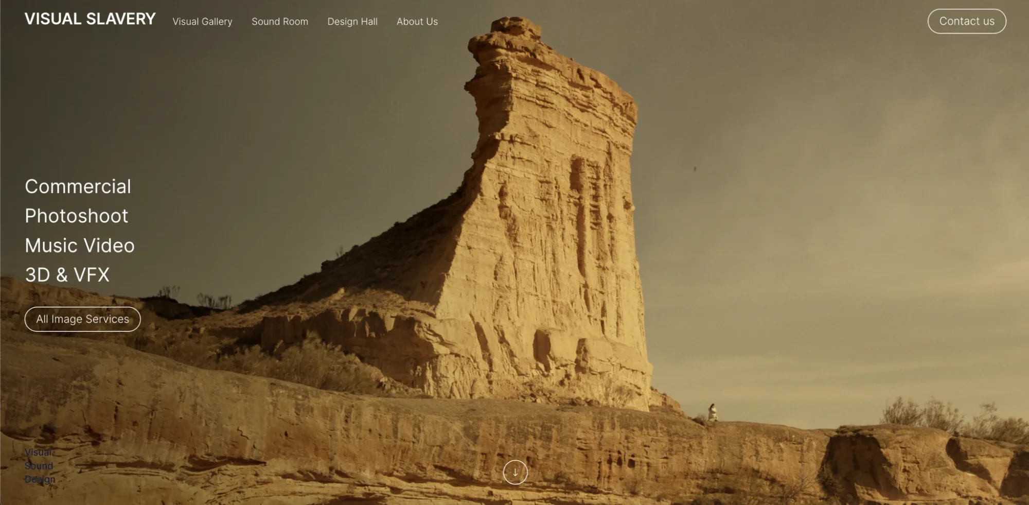 VSLR — 3 screens, not a multi-page form